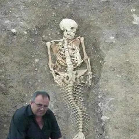 广东海滩现“美人鱼”遗骸，揭示神秘生物灭绝真相