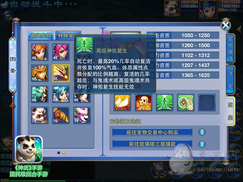 神武5宠物打书全攻略，2025最新高成功率技巧与玄学公式揭秘