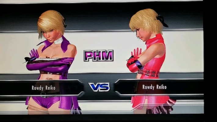 搏击玫瑰XX真格斗还是卖肉？2025核心系统深度拆解与角色强度榜