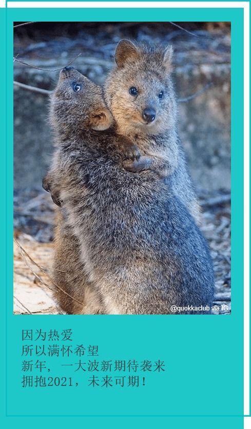 狲家悲歌:狲思邈痛失亲人,传承新希望 狲家悲歌:狲思邈痛失亲人,传承新希望