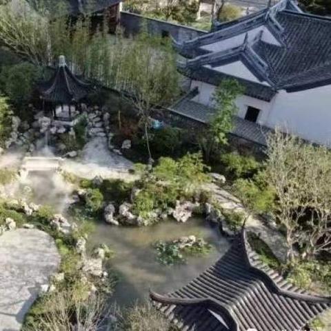 植物大战僵尸动画片类型揭秘，2025年实战通关攻略与隐藏机制全解析