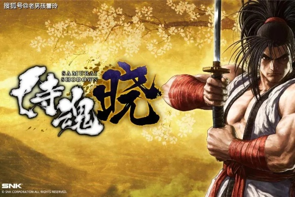 侍魂OL隐藏资源链曝光，2025年Q4版本白嫖SSR的5条野路子