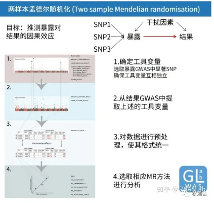 DMW伪随机机制的真相与操控技巧