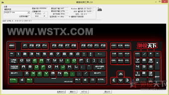 2K14键盘操作终极密码，从青铜到王者的完整按键圣经与实战心法