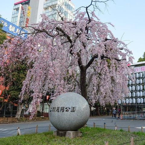 突袭宝库通关率仅12%?内部资料揭秘高效阵容与隐藏机制 突袭宝库通关率仅12%?内部资料揭秘高效阵容与隐藏机制