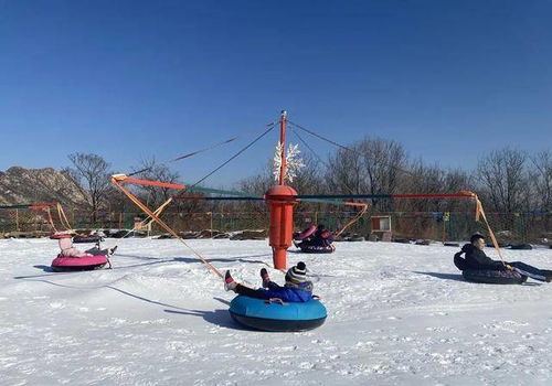 哈尔滨“雪王”18米巨像拆除,冬日狂欢新地标诞生 哈尔滨“雪王”18米巨像拆除,冬日狂欢新地标诞生