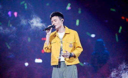 解密汪峰那英类型差异，音乐选秀导师风格全解析与避坑攻略