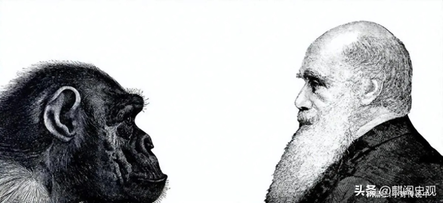 《达尔文悖论》终定4月2日，全新进化体验来袭