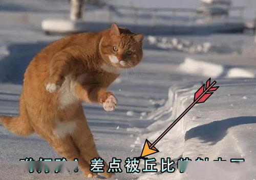 画驴成斑马式山寨游戏泛滥?2025玩家防坑实战,3步识别换皮猫腻 画驴成斑马式山寨游戏泛滥?2025玩家防坑实战,3步识别换皮猫腻