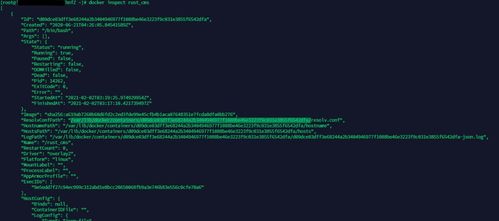 配置config.json，修改listen_ip为服务器公网IP