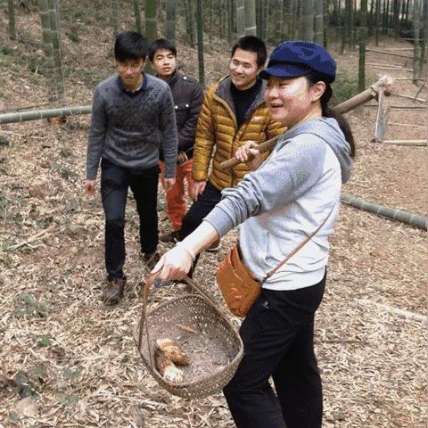 日式小屋MOD《模拟人生3》竹林深处独家下载，体验沉浸式日式风情