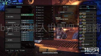 虎王弱点秒懂，2025炎王龙属性克制与3分钟速杀核心套路