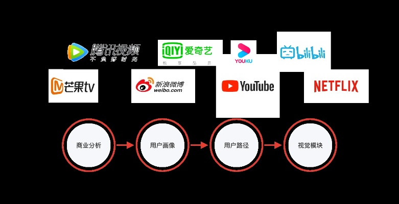 四大视频站类型与精准匹配策略