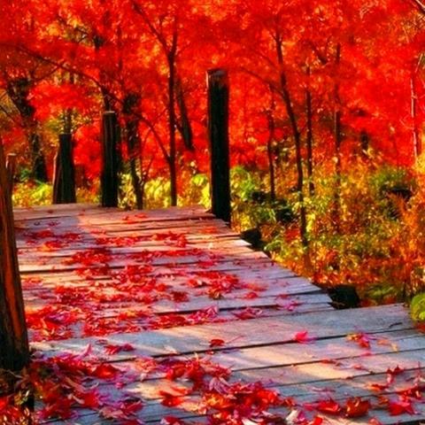 核心机制，邮票经济比燃烧更重要