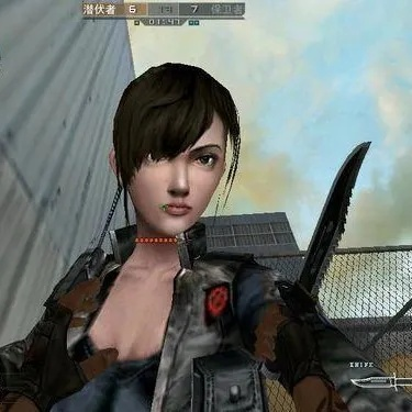 突击风暴暴血类型终极抉择，2025高伤机制与配装黑科技揭秘