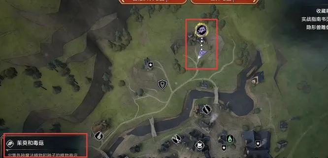 霍格沃茨之遗曼德拉草全攻略，2025实战数据揭秘最强控场技巧