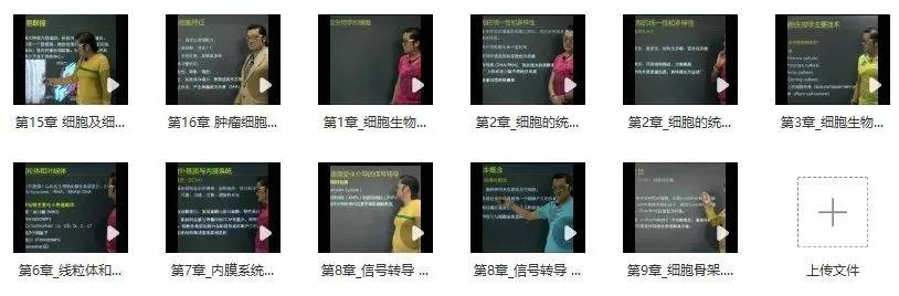 崔智云h类型2025最新解码，12种细分标签与实战资源获取全攻略