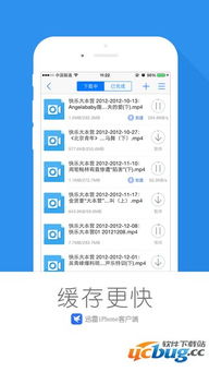 2025迅雷媒体特权礼包值不值？深度拆解4大核心权益与避坑指南