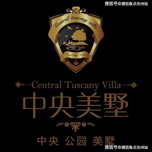 无主之地2魔女加点2025终极指南，三系Build深度解析与实战配装