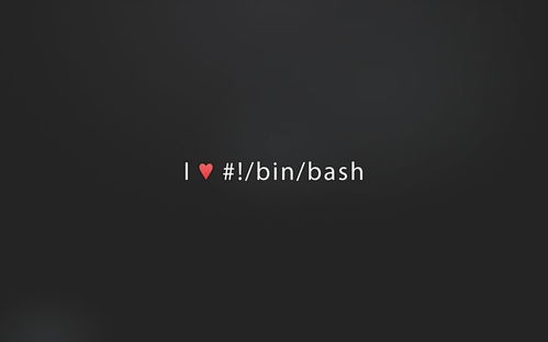 !/bin/bash
