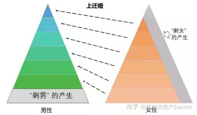 剩女分级诊疗手册，从青铜到王者，2025年婚恋市场精准匹配全攻略