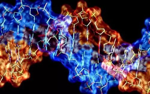 从青铜到总冠军，2026赛季必学的3套颠覆性战术体系揭秘