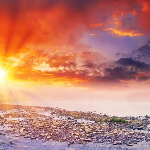 火得连成人女星都在玩!《恶意不息》制作人感叹 火得连成人女星都在玩!《恶意不息》制作人感叹