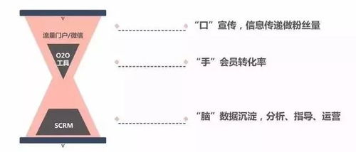 一、流派本质，毒系与自然系的底层逻辑撕裂