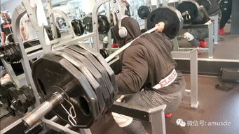 从打桩到实战，武极柔化肌肉秒柔机制深度拆解与连招重构