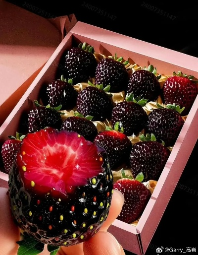 草莓届爱马仕黑草莓走红,价格高达300元一斤! 草莓届爱马仕黑草莓走红,价格高达300元一斤!