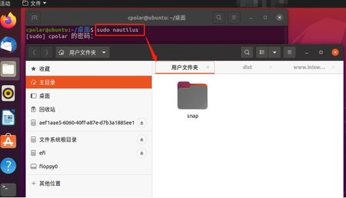 在游戏根目录Config.ini中添加