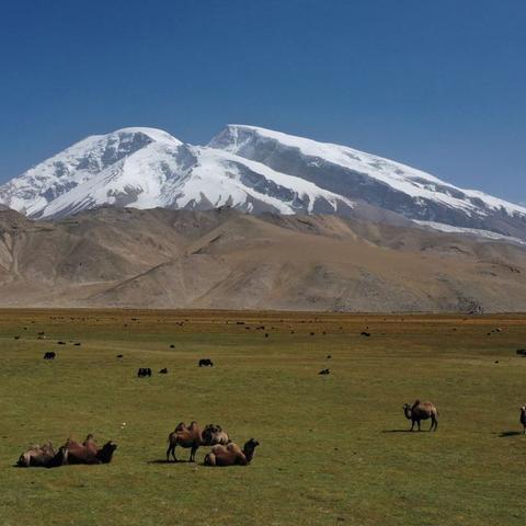 悠闲三国平民最强阵容2025,0氪玩家3天速通实战密码 悠闲三国平民最强阵容2025,0氪玩家3天速通实战密码