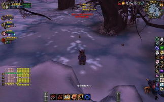 2025最新WOW私服开荒指南，这5个服90%玩家不知道