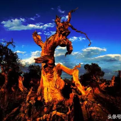 不是魂类游戏的红色沙漠，难度也不容小觑！