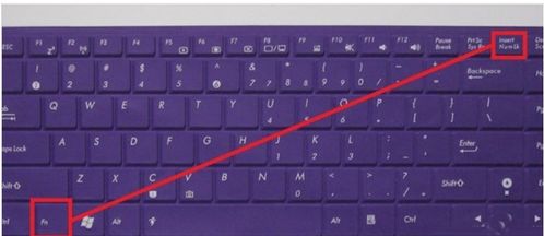 止水之潘第二个键纹在哪？2025最新键纹·鳞3步定位法