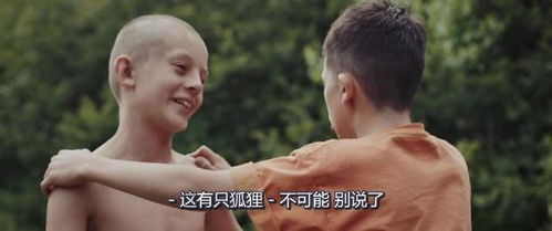 遭质疑眼神有问题，野兽先生，我最烦别人说我眼睛这事儿