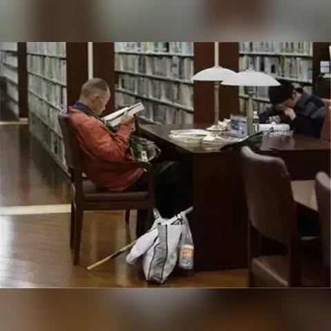 原神3.3版本流浪者怎么养？七圣召唤卡组+圣遗物配装2025最新