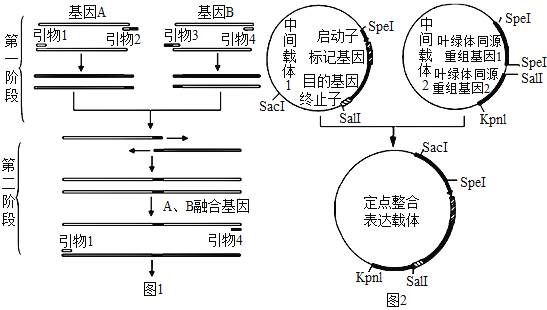 一、配合系统底层逻辑，不是加法，是基因重组