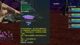 丐帮挂件全图鉴，2025最新获取路径与隐藏款解锁攻略