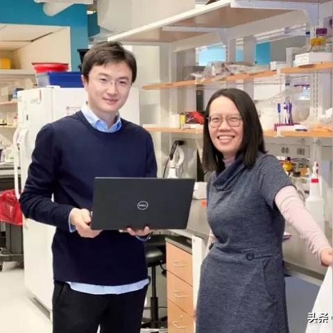 别再被广告忽悠！专家证实白发逆转根本行不通