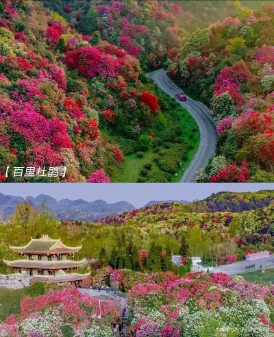 百里杜鹃地图怎么探索最效率？2025最新路线规划与隐藏宝箱全收集攻略