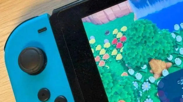 火红/叶绿无预警上线引热议，任天堂这次是罕见手滑？