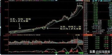 晶化骨髓48小时刷新机制破解，2025稻妻高效采集路线图与角色突破刚需解析