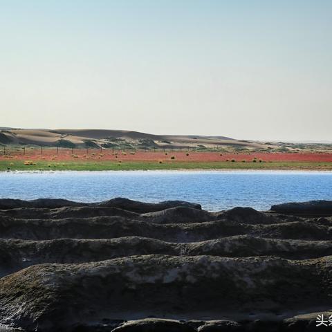 塞外大漠奇遇总刷不出？九阴真经2025最新触发公式与隐藏路线实测