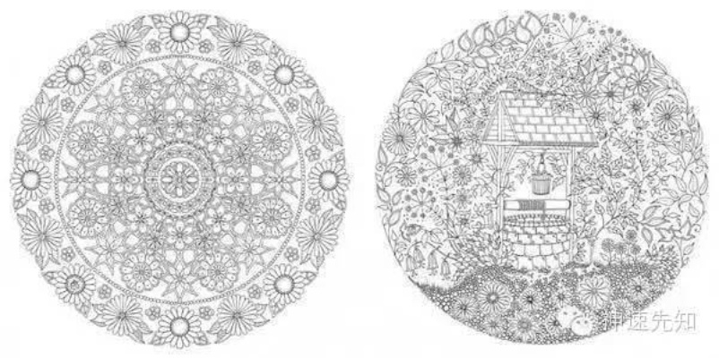 秘密花园下载全版本实测，2025最新避坑指南与隐藏资源获取通道