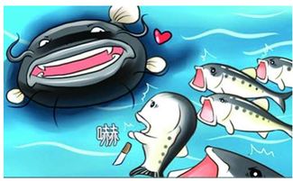 别骂菜鸟了！愤怒的老鸟2025高效情绪管理+技术碾压双修攻略