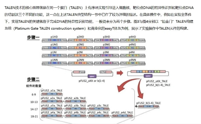 JX2类型的三大核心基因解码 JX2类型的三大核心基因解码