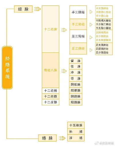 三脉网类型深度解剖，为什么90%玩家都选错了核心脉络？