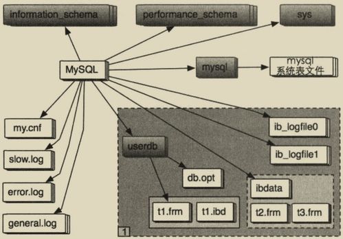 一、25级可用APC人偶全图鉴与核心机制