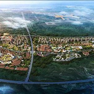 梦幻西游2025新宠实战指南，特殊技能组合与打书成本全解析